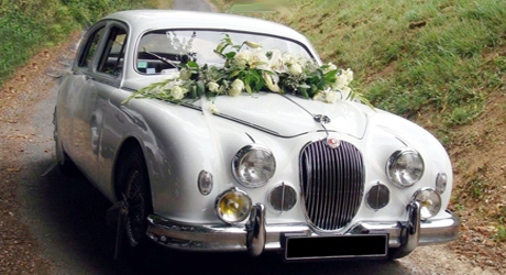 Noleggio Jaguar mk1 White Pearl